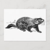 zwart-wit grondhog briefkaart (Voorkant)