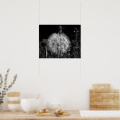 Zwart-wit, groot, helder Dandelion 16 x 20 Poster (Keuken)