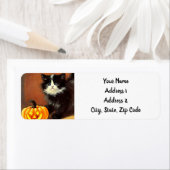  zwart-wit Halloween Kitten Etiket (Insitu)