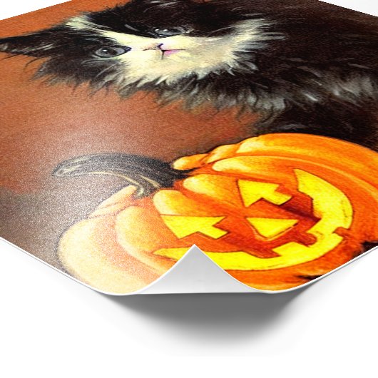  zwart-wit Halloween Kitten Foto Afdruk (Hoek)
