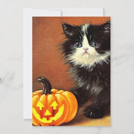  zwart-wit Halloween Kitten Kaart (Voorkant)