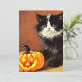  zwart-wit Halloween Kitten Kaart (Staand voorkant)