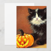  zwart-wit Halloween Kitten Kaart (Voorkant / Achterkant)