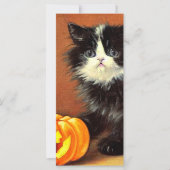 zwart-wit Halloween Kitten Kaart (Voorkant)
