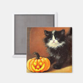 zwart-wit Halloween Kitten Magneet (Voorkant / Achterkant)