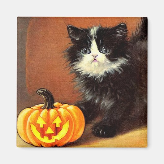 zwart-wit Halloween Kitten Magneet (Voorkant)