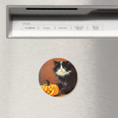 zwart-wit Halloween Kitten Magneet (Insitu (Vaatwasser))