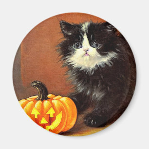 zwart-wit Halloween Kitten Magneet