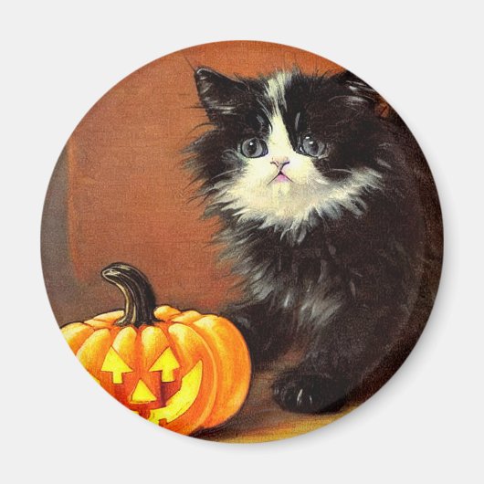 zwart-wit Halloween Kitten Magneet (Voorkant)