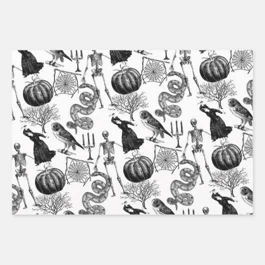  Zwart & Wit Halloween Line Art Inpakpapier Vel (Voorkant 2)