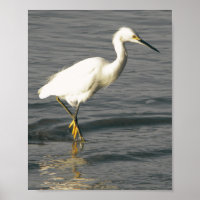 Zwart-wit Heron Tropische afdrukbare kunst