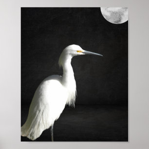 Zwart-wit Heron Tropische afdrukbare kunst Poster