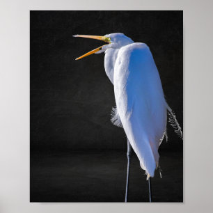 Zwart-wit Heron Tropische afdrukbare kunst Poster