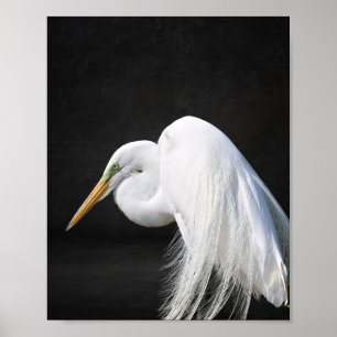 Zwart-wit Heron Tropische afdrukbare kunst Poster