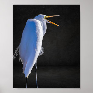 Zwart-wit Heron Tropische afdrukbare kunst Poster
