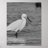 Zwart-wit Heron Tropische afdrukbare kunst