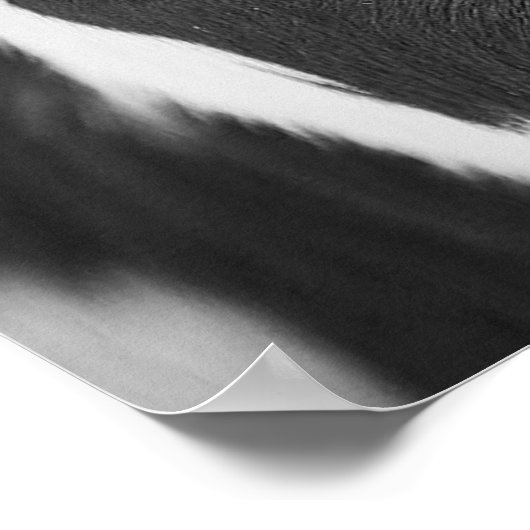 Zwart-wit Holstein Koe Eyes Poster (Hoek)