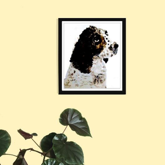 Zwart-wit Hond Schilderen Springer Spaniël Canvas Afdruk