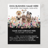 Zwart Wit Hond Walker Pet Sitter Grooming (Achterkant)