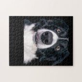 Zwart-wit honden gezicht legpuzzel (Horizontaal)