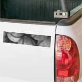 Zwart & Wit Honkbal Bumpersticker (Op Truck)