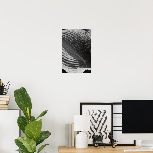 Zwart-Wit Hosta-Blad Poster (Thuiskantoor)