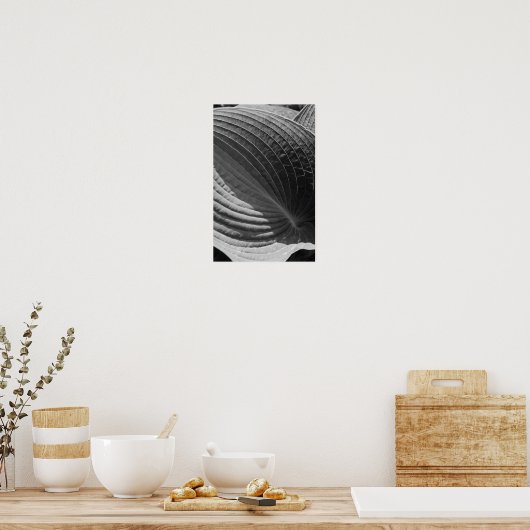 Zwart-Wit Hosta-Blad Poster (Keuken)