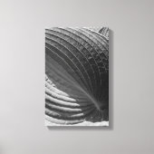 Zwart-wit hosta Leaf Canvas Afdruk (Voorkant)