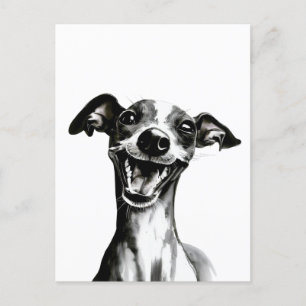 Zwart-wit Iggy   Cute Italiaanse Greyhound Briefkaart