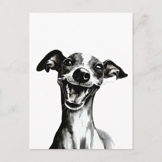 Zwart-wit Iggy | Cute Italiaanse Greyhound Briefkaart (Voorkant)