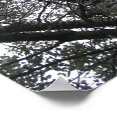 Zwart-wit in natuur poster (Hoek)