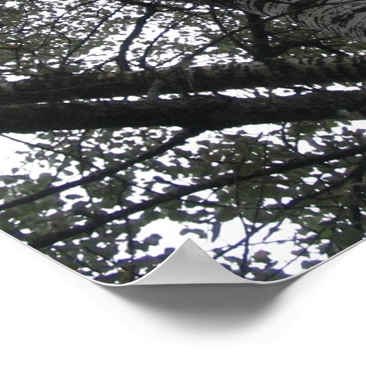 Zwart-wit in natuur poster (Hoek)