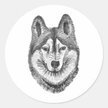 Zwart & Wit Inkt & Waterverf Siberische Husky