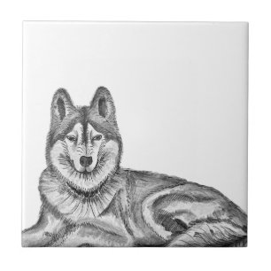 Zwart & Wit Inkt & Waterverf Siberische Husky Tegeltje