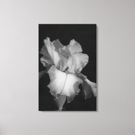 Zwart-wit Iris Bloem Foto Canvas Afdruk