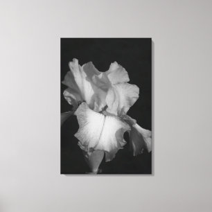 Zwart-wit Iris Bloem Foto Canvas Afdruk