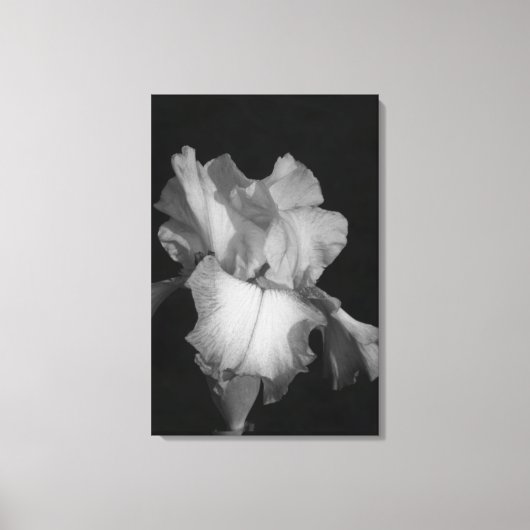 Zwart-wit Iris Bloem Foto Canvas Afdruk (Voorkant)