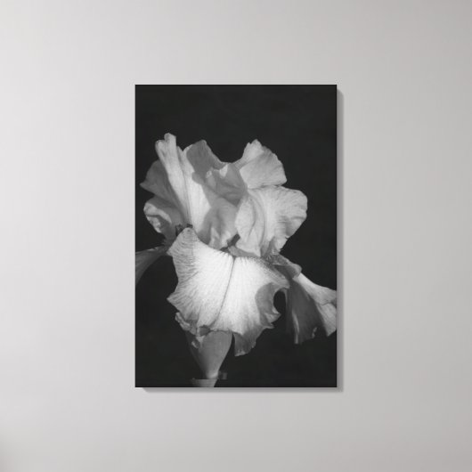 Zwart-wit Iris Bloem Foto Canvas Afdruk (Voorkant)