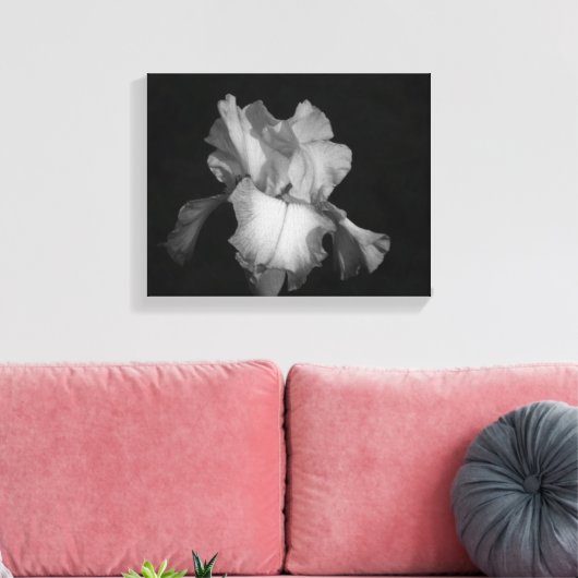 Zwart-wit Iris Bloemen Foto Canvas Afdruk (Insitu (Woonkamer))