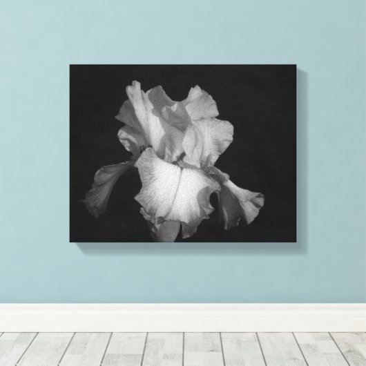 Zwart-wit Iris Bloemen Foto Canvas Afdruk (Insitu (Houten vloer))