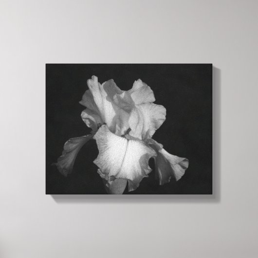 Zwart-wit Iris Bloemen Foto Canvas Afdruk (Voorkant)