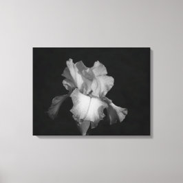 Zwart-wit Iris Bloemen Foto Canvas Afdruk
