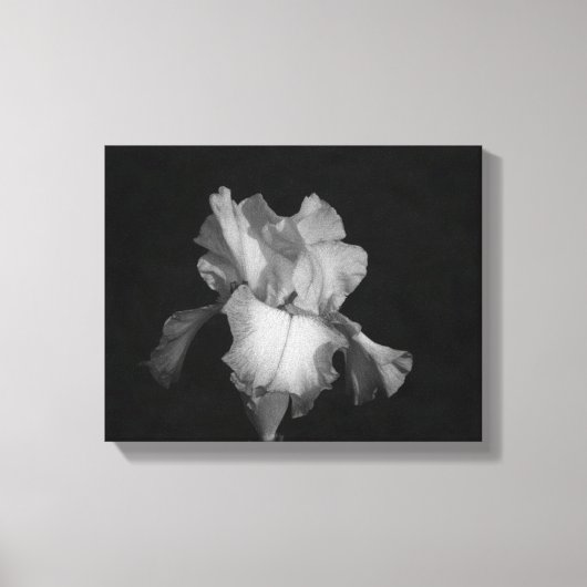 Zwart-wit Iris Bloemen Foto Canvas Afdruk (Voorkant)