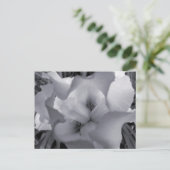 Zwart-wit Iris-Briefkaart Briefkaart (Staand voorkant)
