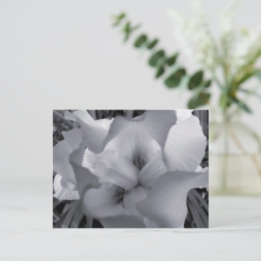 Zwart-wit Iris-Briefkaart Briefkaart (Staand voorkant)