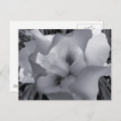 Zwart-wit Iris-Briefkaart Briefkaart (Voorkant / Achterkant)