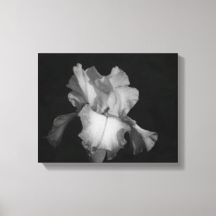 Zwart-wit iris monochroom bloemfoto canvas afdruk