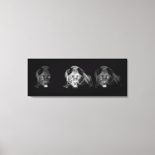 Zwart & Wit Jaguar Verpakt Canvas Afdruk