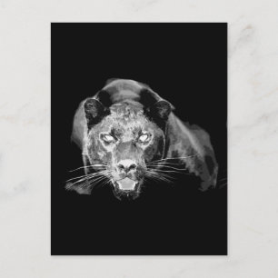 Zwart & Wit Jaguar - Wilde Katten Briefkaart