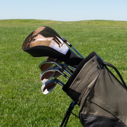 Zwart wit Kat Foto Golf Head Hoesje Golfheadcover (Insitu)